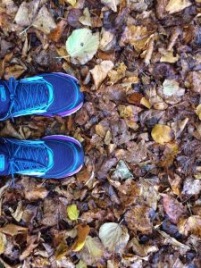 trainers on fallen leaves